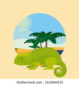 Desert animal cartoon