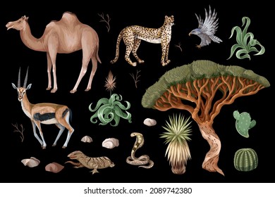 Desert animals, cactuses and trees isolated. Vector