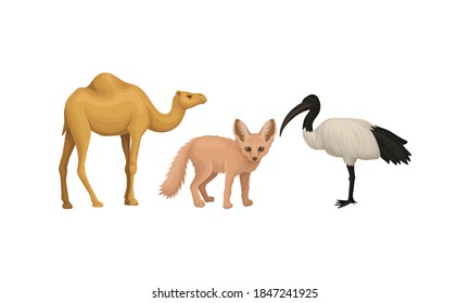 Desert Animals with Camel and Fennec Fox Vector Set