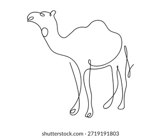 Animais do deserto, camelos, em linha contínua. Ilustração de vetor de desenho de linha única.