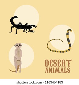 Desert animals cartoon