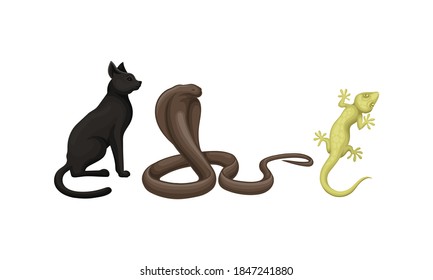 Desert Animals with Cobra and Lizard Vector Set