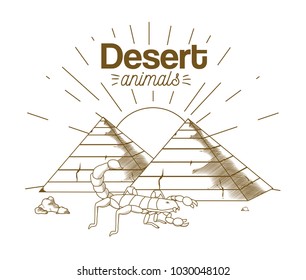 Desert animals hand drawing cartoon