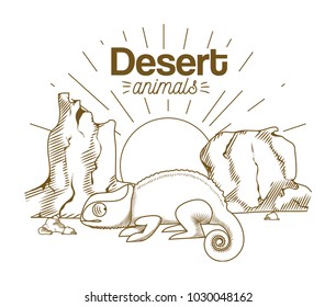 Desert animals hand drawing cartoon