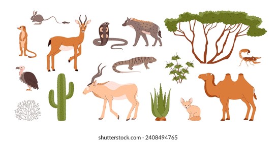 Desert animals and plants set. Wild nature inhabitants. Flora and fauna of sands. Isolated vector illustrations collection.