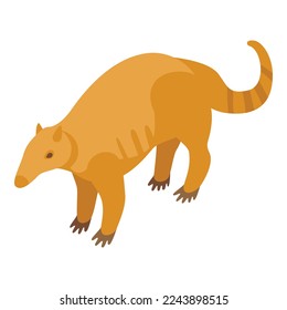 Desert anteater icon isometric vector. South australia. Young mammal