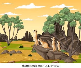 Desert background with a group of meerkats illustration