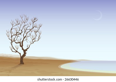 Desert beach