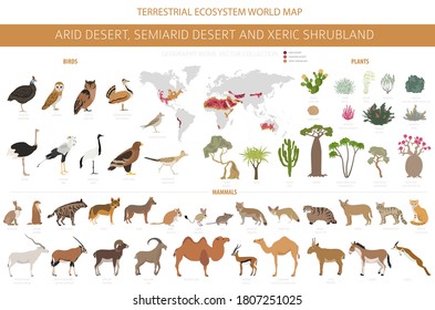 Desert biome, xeric shrubland natural region infographic. Terrestrial ecosystem world map. Animals, birds and vegetations design set. Vector illustration svg