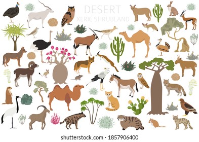 Desert biome, xeric shrubland natural region infographic. Terrestrial ecosystem world map. Animals, birds and vegetations design set. Vector illustration