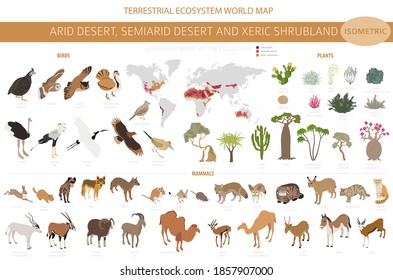 Desert biome, xeric shrubland biome, natural region infographic. Terrestrial ecosystem world map. Animals, birds and vegetations isometric design set. Vector illustration svg