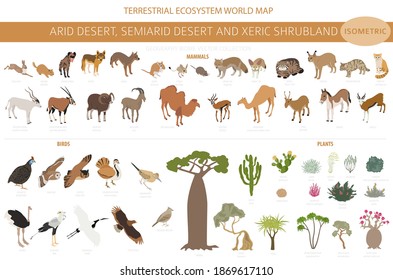 Desert biome, xeric shrubland biome, natural region infographic. Terrestrial ecosystem world map. Animals, birds and vegetations isometric design set. Vector illustration