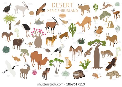 Bioma del desierto, bioma de arbusto xérico, infografía de la región natural. Mapa mundial de ecosistemas terrestres. Animales, pájaros y vegetaciones de diseño isométrico. Ilustración del vector