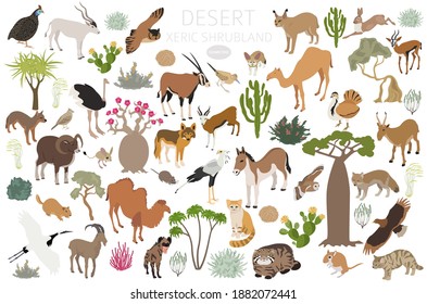 Bioma del desierto, bioma de arbusto xérico, infografía de la región natural. Mapa mundial de ecosistemas terrestres. Animales, pájaros y vegetaciones de diseño isométrico. Ilustración del vector