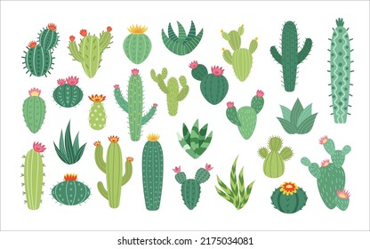 Desert cacti flowers. Cute mexico summer cactus set, plant stickers, mexican garden, exotic houseplants. Scrapbook collection. Botanical elements for decor. Vector cartoon flat illustration