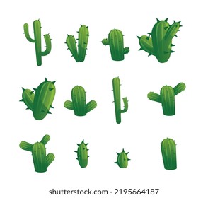 Desert cacti plants decorative natural elements collection flat vector illustration isolated on white background. Cactus arid regions plants with thick stems.