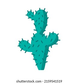desert cactu plant dry icon