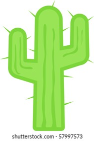 desert cactus