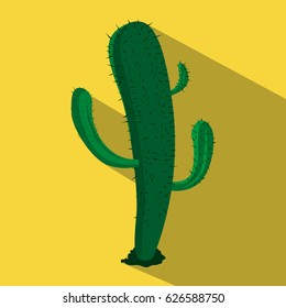 Desert cactus icon