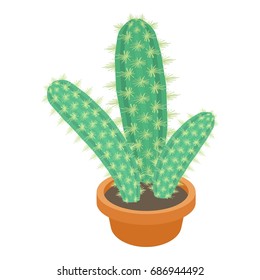 Desert cactus icon. cartoon illustration of desert cactus vector icon for web