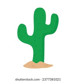 desert cactus illustration vector isolated