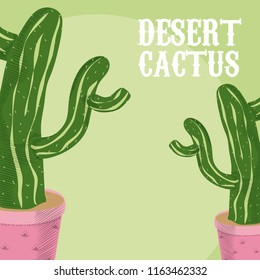 Desert cactus plant