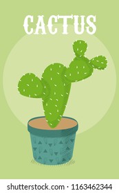 Desert cactus plant