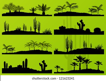 Desert Cactus Plant And Exotic Palm Trees Detailed Landscape Illustration Collection Background Vector