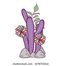 desert cactus plant with flowers in the stones