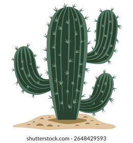 Desert cactus plant for Mexican theme design isolated vector illustration on white background