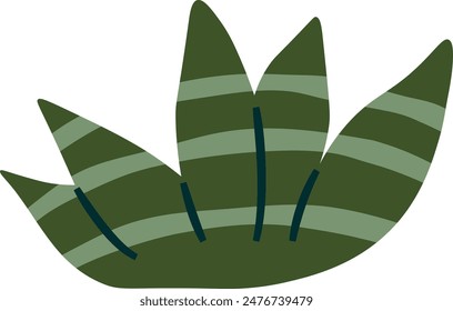 Desert Cactus Plant Vector Illustration