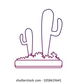 Desert cactus plants