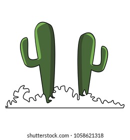 Desert cactus plants