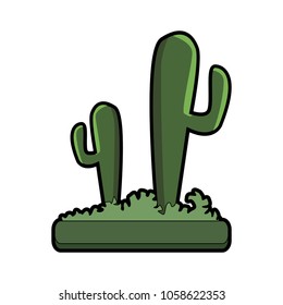 Desert cactus plants