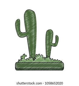 Desert cactus plants