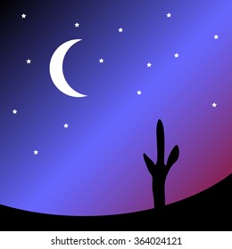 Desert with cactus plants at night. Vector illustration.