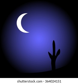 Desert with cactus plants at night. Vector illustration.