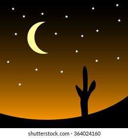 Desert with cactus plants at night. Vector illustration.