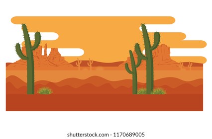 desert with cactus scenery