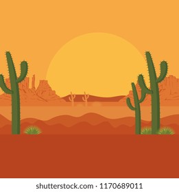 desert with cactus scenery