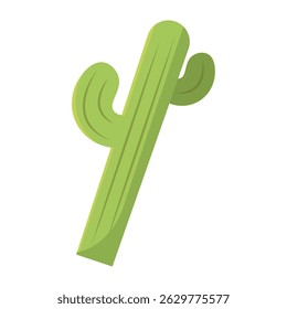 Desert Cactus Stylized Green Botanical Graphic. Vector illustration