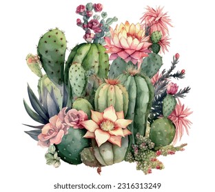 Isolated cactus plant with flowers vector design 4832269 Vector Art