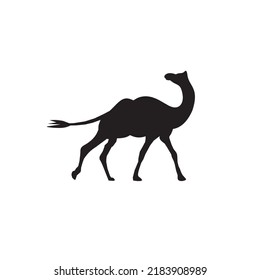 Symbol für WüstenCamel-Symbol, Vektorlogo-Design