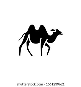 Desert camel icon. vector illustration. logo template. flat design style. eps10