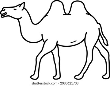 Desert Camel. Vector Outline Illustration.