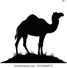 Wüste Kamel Walking Silhouette Vektorgrafik für Mittelost-Reisen und Tourismus Abenteuer Logos.