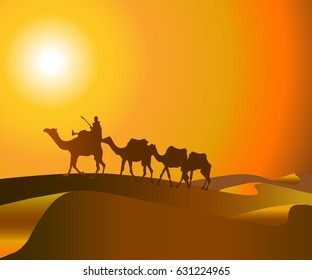 desert with camels