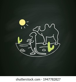 Desert chalk icon. Camel and suricat on desert landscape. Cactus, sun, summer. Wild nature, animals. Biodiversity concept. Isolated vector illustration on chalkboard