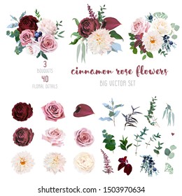 Desert cinnamon, brown, dusty pink and creamy roses, dahlia, burgundy anthurium flowers, juniper, eucalyptus, greenery, ranunculus, marsala astilbe big vector collection. Isolated and editable