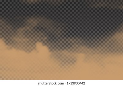 Desert cloud or dirt sand smoke isolated on transparent background. Realistic natural dynamic effect with ground particles. Vector illustration.